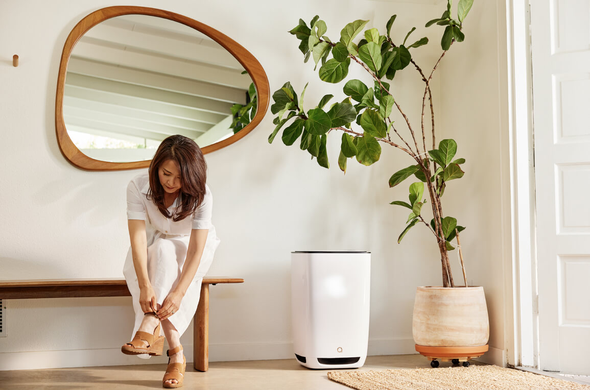 An air purifier so effective, it actually improves indoor air quality