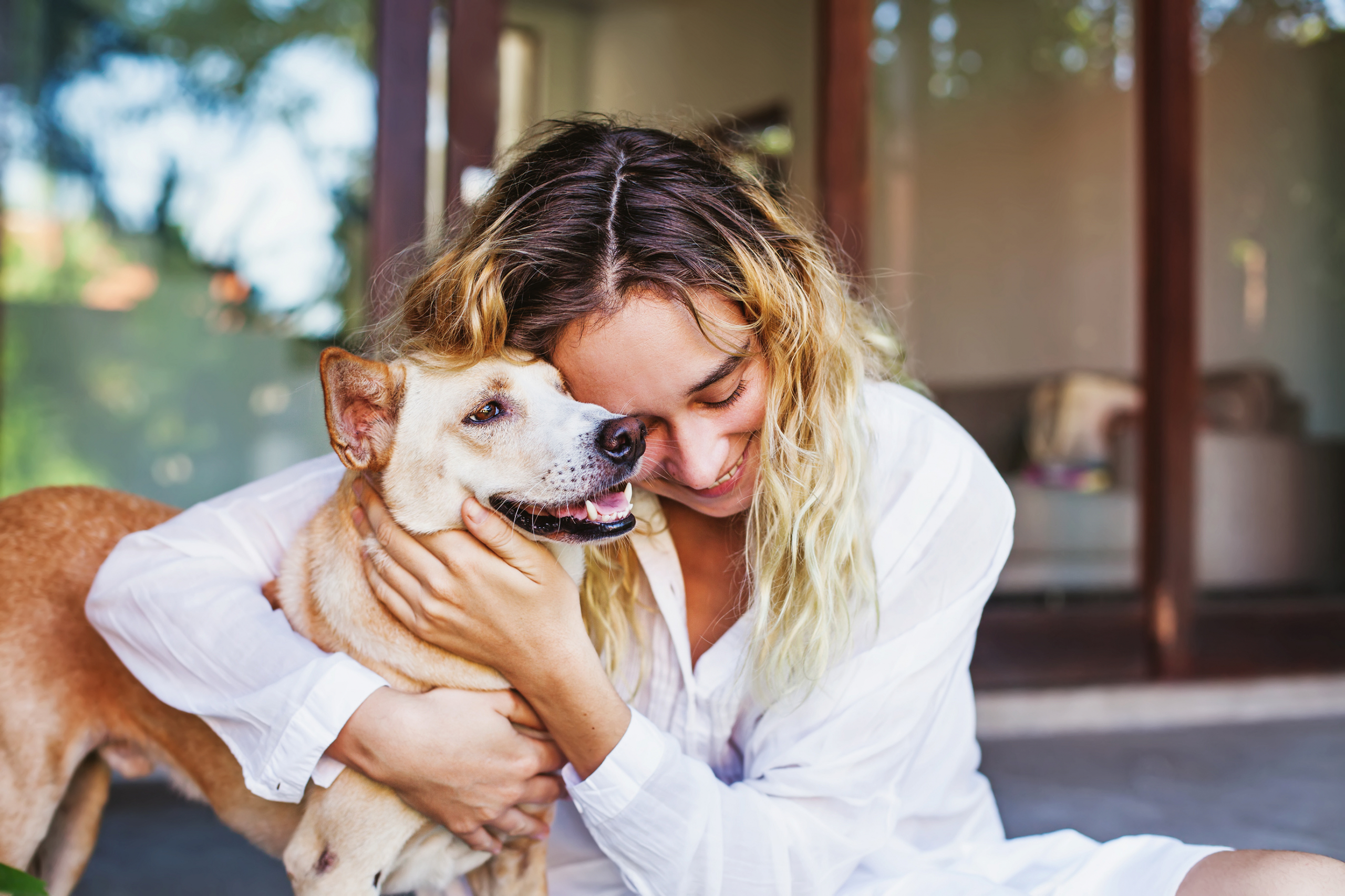 4 Ways An Air Purifier Makes Life Easier For Pet Owners