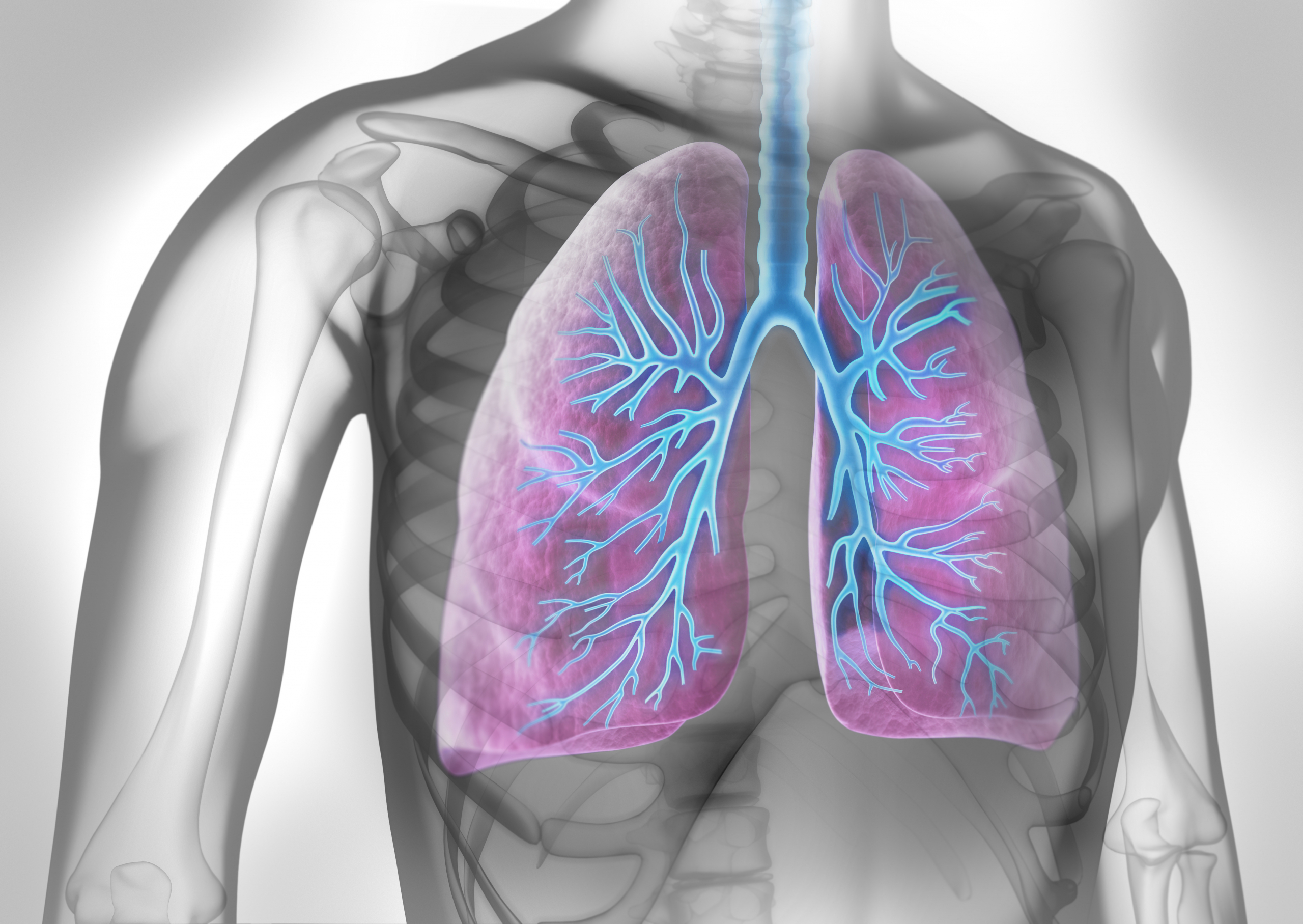Which Air Purifier Is Best For People With COPD?