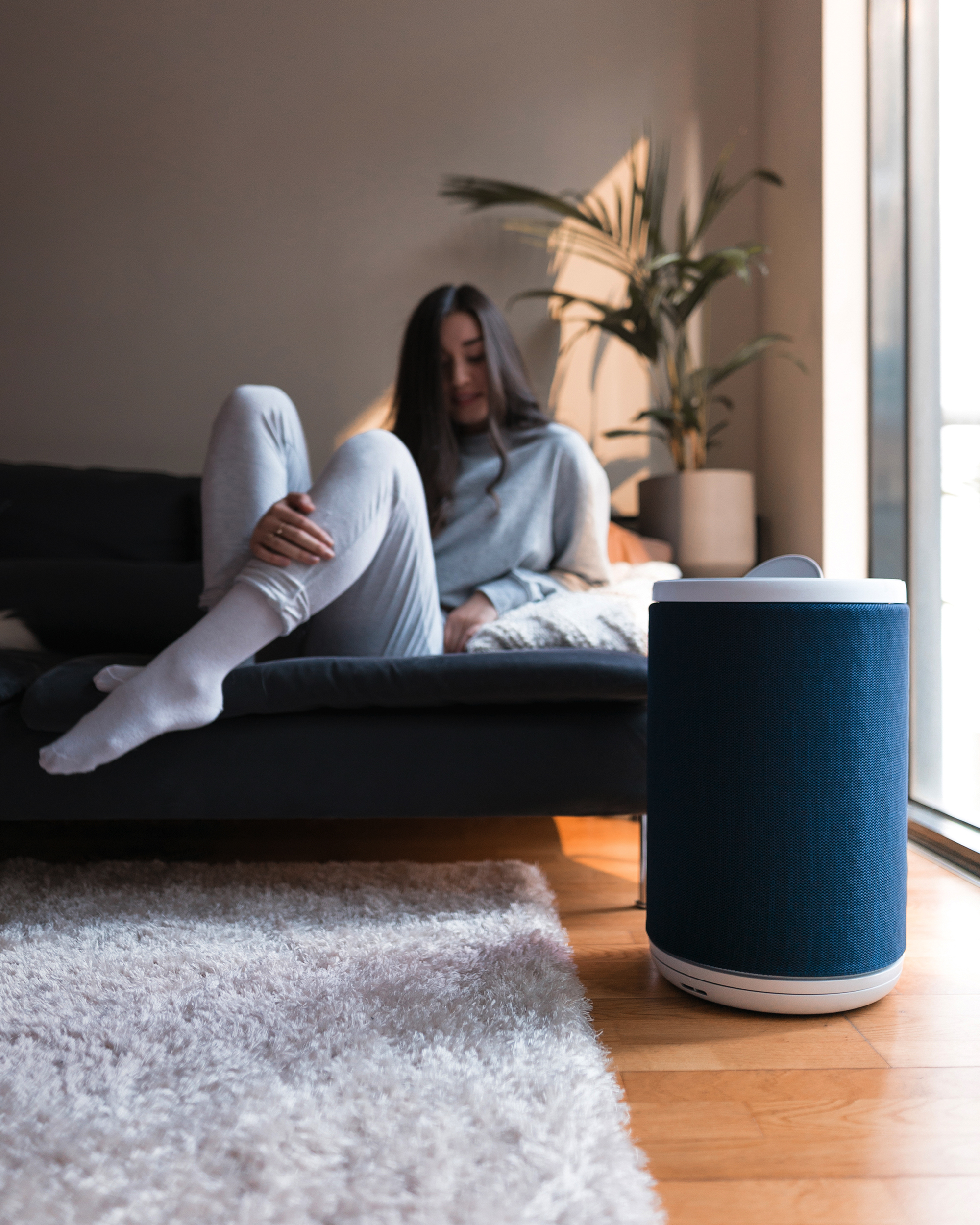 The Air Purifier Big Book Of Information